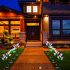 Solar Powered Flower Lights